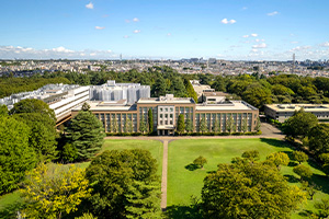 国際基督教大学（ICU）